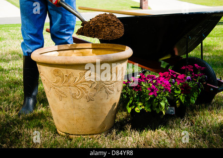 L'uomo spalare la sporcizia da una carriola in una pentola per un contenitore di fiori. Foto Stock