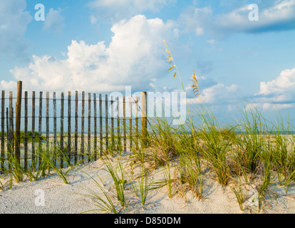 Una duna di sabbia con erba di mare lungo un recinto di sabbia sulla spiaggia. Foto Stock