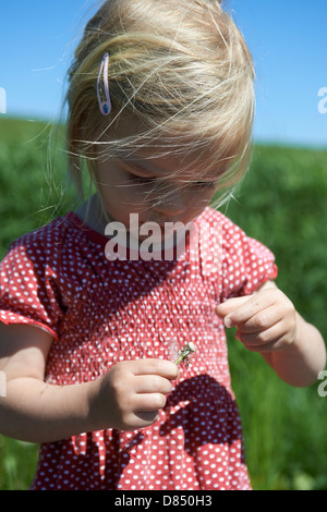 Bambino ragazza bionda che soffia su un orologio di tarassaco, prato estivo Foto Stock