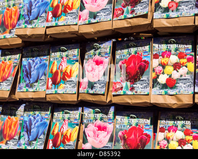 Bulbi di tulipani in vendita in un mercato di Amsterdam, Paesi Bassi. Foto Stock