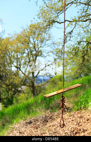 41,388.08844 swing corda e scheda singola per sedile appeso a un albero, con l'erba verde oregon quercia bianca alberi e cielo blu in background. Foto Stock