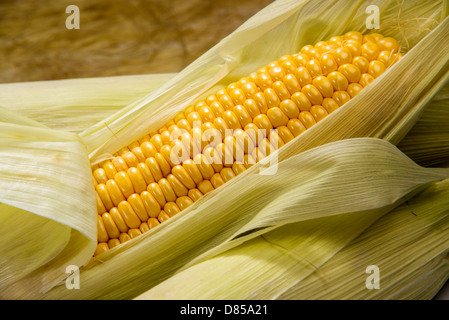 Un close-up immagine di un tutolo di mais tra foglie verdi. Foto Stock