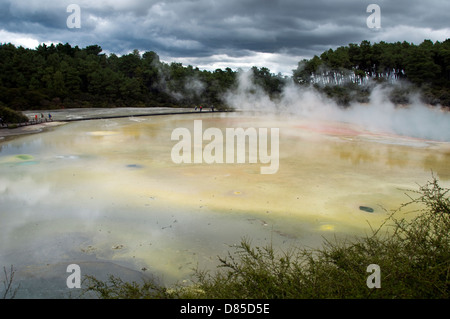 Waiotapu,Nuova Zelanda Foto Stock