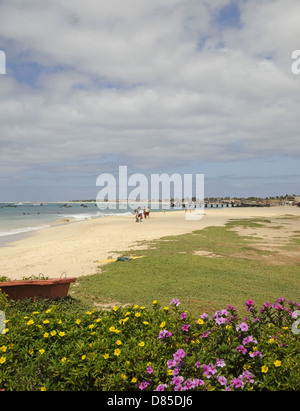 Spiaggia di Santa Maria Isola di Sal Capo Verde Foto Stock