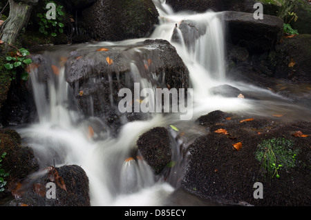Flusso di acqua che scorre tra le rocce Foto Stock