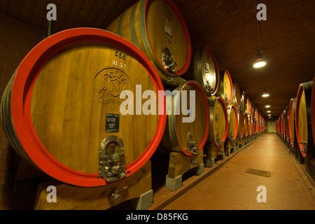 Lombardia Valtellina Chiuro Nino Negri azienda vitivinicola callar Foto Stock