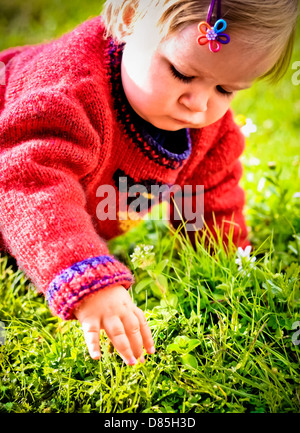 Baby girl raggiungendo per piccolo fiore Foto Stock