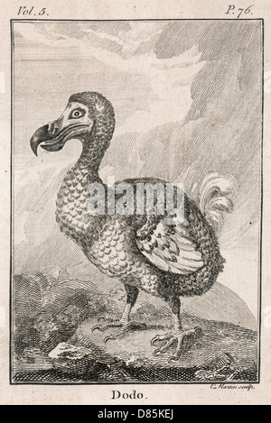 Dodo Foto Stock