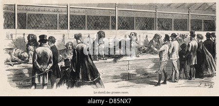 Parigi Dog Show 1870 Foto Stock