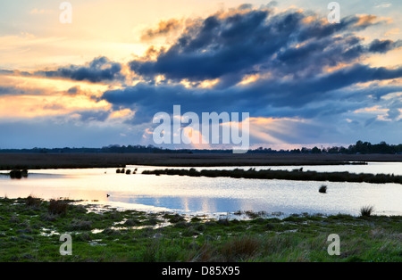 Drammatica nuvole al tramonto sulla palude, Drenthe, Paesi Bassi Foto Stock