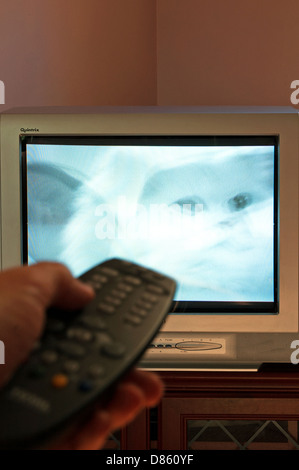 Una televisione in remoto someones lato rivolto verso lo schermo del televisore Foto Stock