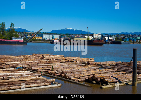 Zattera di tronchi sul fiume Fraser, Vancouver, Canada Foto Stock