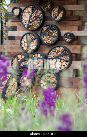 Londra, Regno Unito. 20 Maggio 2013.RBC blu acqua giardino sul tetto. Il primo giorno del Chelsea Flower Show. Il Royal Hospital Chelsea. Credito: Guy Bell/Alamy Live News Foto Stock