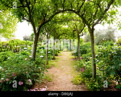 Un arco di glicini in la peonia giardini vicino a Soriano nel Cimirio, Lazio, Umbria, Italia Foto Stock