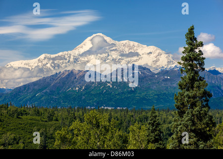 Vista nord dell'Alaska Range e Denali (Mt. McKinley) da 'Denali Viewpoint Sud" George Parks Highway 3, Alaska, STATI UNITI D'AMERICA Foto Stock