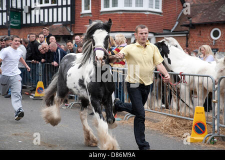 Wickham, Hampshire, Regno Unito, 20 maggio 2013. La storica Wickham Fiera dei Cavalli si svolge nel centro della città, attacting molte persone provenienti dal Regno Unito e irlandesi di viaggio europee che si riuniscono ogni anno per il commercio tutoli di zingari e di cavalli di trotto. La piazza della città contiene una fiera del divertimento e le strade sono chiuse per cavallo mostra e trading. Credito: Rupert Sagar-Musgrave / Alamy Live News Foto Stock