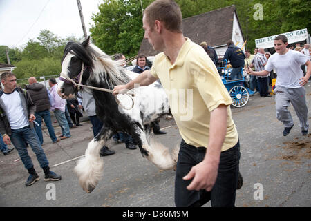 Wickham, Hampshire, Regno Unito, 20 maggio 2013. La storica Wickham Fiera dei Cavalli si svolge nel centro della città, attacting molte persone provenienti dal Regno Unito e irlandesi di viaggio europee che si riuniscono ogni anno per il commercio tutoli di zingari e di cavalli di trotto. La piazza della città contiene una fiera del divertimento e le strade sono chiuse per cavallo mostra e trading. Credito: Rupert Sagar-Musgrave / Alamy Live News Foto Stock