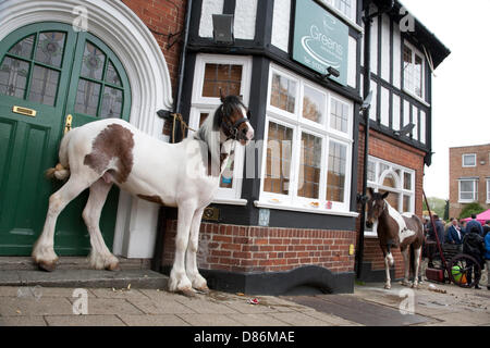 Wickham, Hampshire, Regno Unito, 20 maggio 2013. La storica Wickham Fiera dei Cavalli si svolge nel centro della città, attacting molte persone provenienti dal Regno Unito e irlandesi di viaggio europee che si riuniscono ogni anno per il commercio tutoli di zingari e di cavalli di trotto. La piazza della città contiene una fiera del divertimento e le strade sono chiuse per cavallo mostra e trading. Credito: Rupert Sagar-Musgrave / Alamy Live News Foto Stock