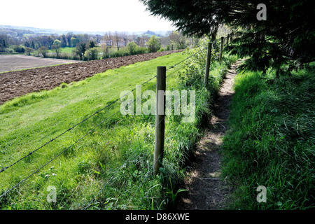 Arò terreni coltivati nei dintorni di Dartington Hall, Dorset, Regno Unito (vicino a Totnes). Tipica campagna inglese. Foto Stock