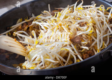 Cottura vegetale a base di soia con carne macinata e il cavolo bianco in padella, close up Foto Stock