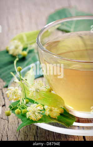 Linden tè e fiori riprese in studio Foto Stock