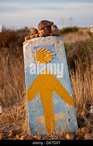 Camino di Santiago; Route Marker, capesante shell e freccia gialla sul blocco di cemento Foto Stock