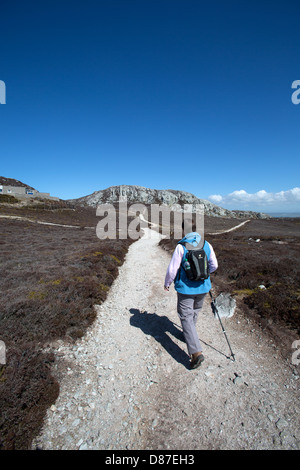 Il Galles sentiero costiero nel Galles del Nord. Una signora walker sulla montagna di Holyhead sezione del Wales coast Path. Foto Stock