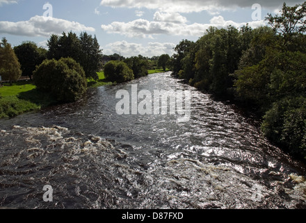 Veloce che scorre il fiume Erne, Belturbet, superiore del Lough Erne, nella contea di Cavan, Irlanda Foto Stock