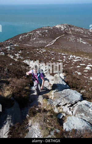 Il Galles sentiero costiero nel Galles del Nord. Una signora walker sulla montagna di Holyhead sezione del Wales coast Path. Foto Stock