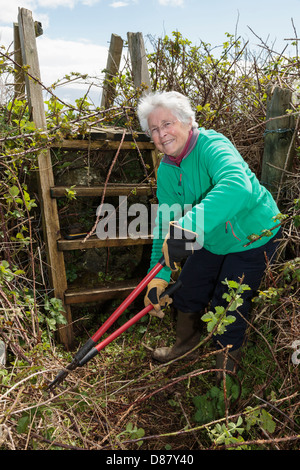 Attivo pensionato pensionato pensionato Ramblers sentiero volontari/cancellazione di un paese percorso e il montante della scala bloccato con vegetazione. Wales UK Gran Bretagna Foto Stock