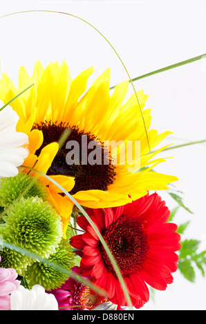Bouquet di piccole dimensioni con girasole davanti a uno sfondo bianco Foto Stock