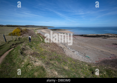 Il Galles sentiero costiero nel Galles del Nord. Vista pittoresca di una signora a piedi il Wales coast Path sulla costa orientale di Anglesey. Foto Stock