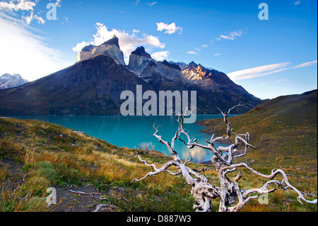 Parco Nazionale di Torres del Paine Cile Foto Stock