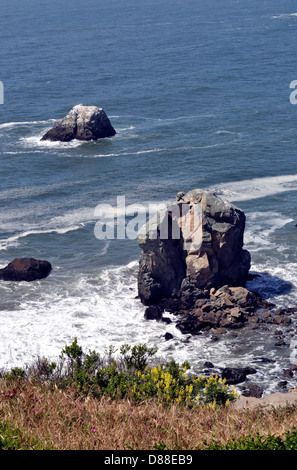 Lands End nazionale del Golden Gate Park di San Francisco Foto Stock