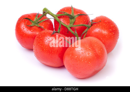 Organico rosso pomodori ciliegia isolate su sfondo bianco Foto Stock