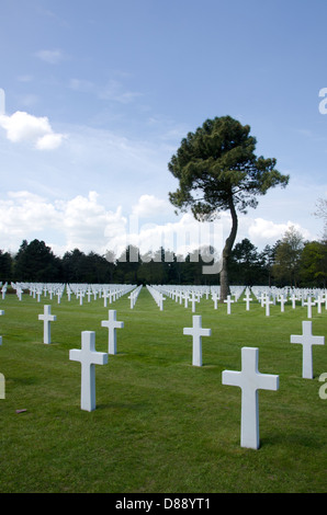 Il cimitero di Normandia Foto Stock