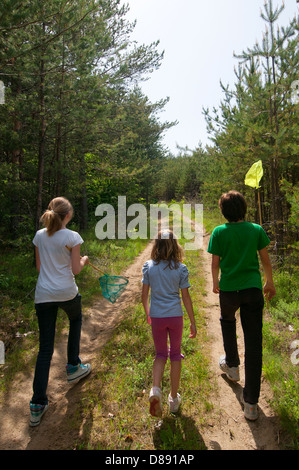 I bambini con reti a farfalla passeggiate nella foresta. Foto Stock