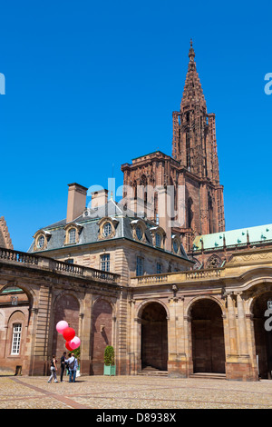 Sessione fotografica di un estere sposa e lo sposo sposarsi a Strasburgo, Alsazia, Francia Foto Stock