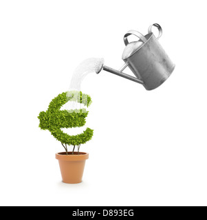 Una piccola pianta in un vaso conformato come un simbolo euro Foto Stock