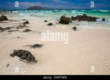 Nord di Fuerteventura, corralejo flag beach Foto Stock