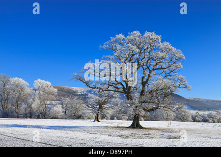 Paesaggio rurale Brecon Beacons Powys Galles in inverno Foto Stock