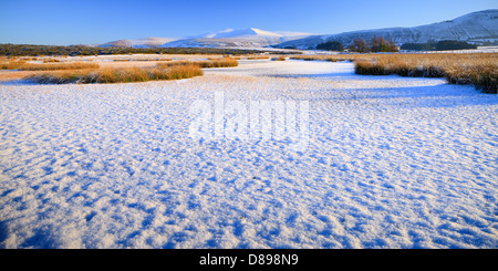 Pen y Fan & Corn Du montagne Mynydd comune Illtyd Brecon Beacons Powys Galles in inverno Foto Stock