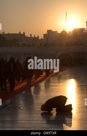 India Punjab, Amritsar e Tempio Dorato, Sikh uomo che prega in entrata al Tempio di sunrise Foto Stock