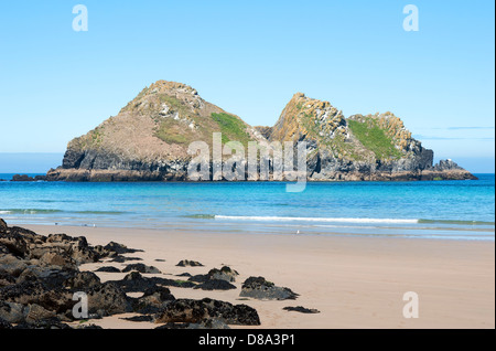 I gabbiani o carradori rocce al largo di Holywell Bay vicino a Perranporth in Cornwall, Regno Unito Foto Stock