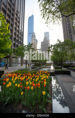 I tulipani visto in Pioneer court plaza vicino a Michigan avenue primavera spring magnficent miglio cool luoghi panoramici in Chicago Foto Stock