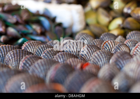 Ostriche e capesante sul mercato asiatico Foto Stock