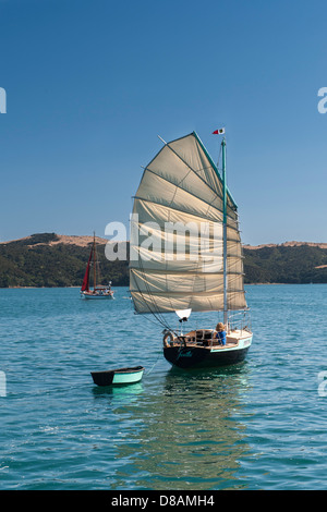 Fiocco, Annie Hill's junk truccate Raven 26, barca a vela in compagnia di Andrew Bianco gaff truccate Balaena off Waiheke. Nuova Zelanda Foto Stock