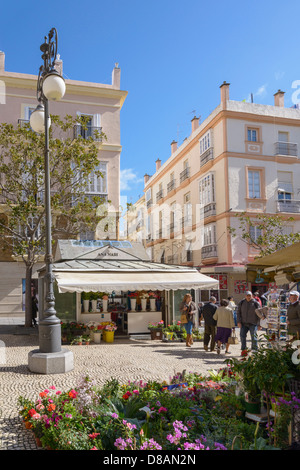 Plaza de Topete conosciuta anche come Plaza de las Flores Cådiz Andalusia Spagna Foto Stock