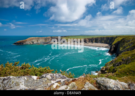 Sentiero costiero con Traeth Llyfn in background Abereiddy Saint Davids Pembrokeshire Wales Foto Stock