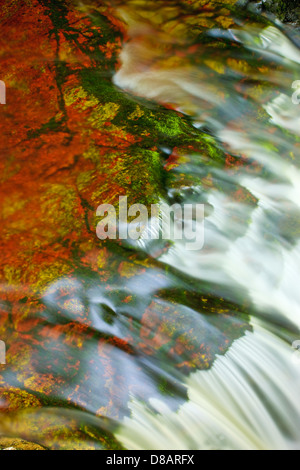 Fiume Neddfechan Parco Nazionale di Brecon Beacons Powys Galles Foto Stock